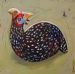 Helmeted Guinea Fowl 7