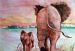 Elephants I