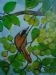 Bird Among Wild Figs