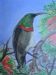 Sunbird