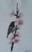Bird in the Blossoms