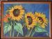 Summer Sunflowers