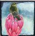 Sugarbird on Protea Vi
