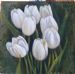 Seven White Tulips