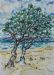 Two Trees