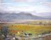 Open Plains