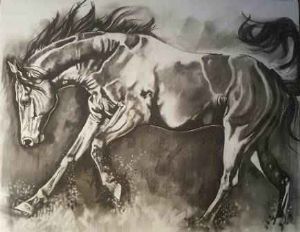 "Horse 6"