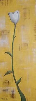 "Tulip"