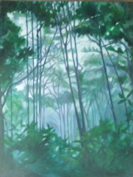 "Knysna Misty Forest"