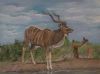 "Kudu"