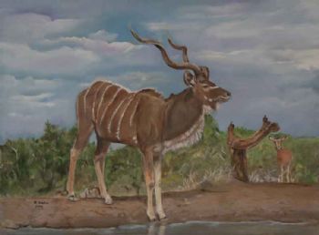 "Kudu"