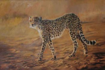 "Cheetah"