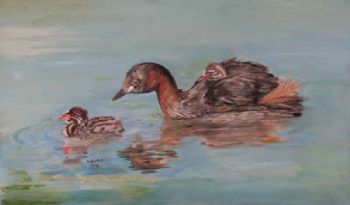 "Dabchick Family"