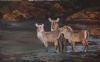 "Waterbuck Family"