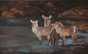 "Waterbuck Family"