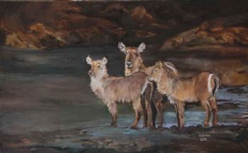 "Waterbuck Family"