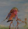 "Lilacbreasted Roller #1"