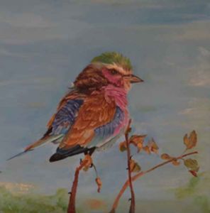 "Lilacbreasted Roller #1"