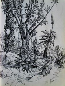 "Aloe Garden 2"