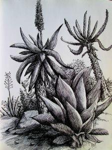 "Aloe Garden 3"