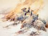 "Guineafowl 7 "