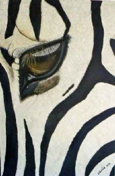 "Zebra Eye"