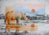 "Sunset for the Rhino "