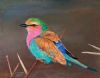 "Lilacbreasted Roller #2"