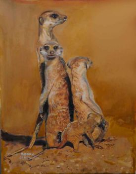 "Suricate Family"