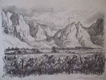 "Slanghoek, Worcester"