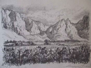 "Groot Drakenstein, Franschhoek"