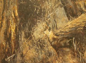 "Spot the Water Buck"