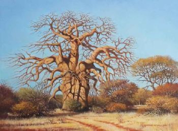 "Bushveld Baobab at Koedoesrand "