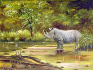 "Black Rhino"