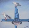 "Two Seagulls"