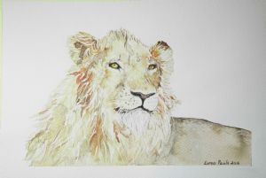 "I'll Be King - Lion"