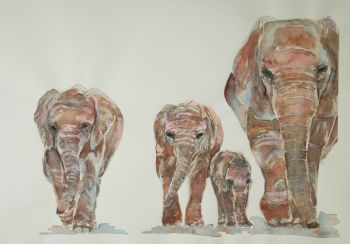 "We Are Family - Elephant"