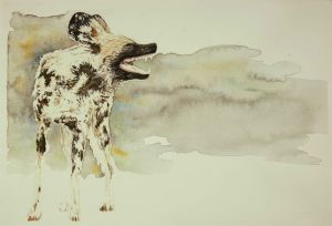 "Wild Yawn - Wild Dog"