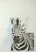 Simple Stripes - Zebra