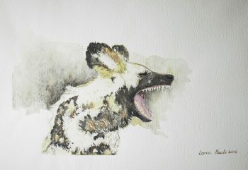 "Wild Wonder - Wild Dog"