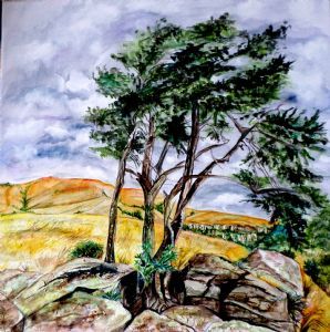 "South African Landscape"