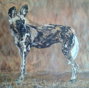 "African Wild Dog"