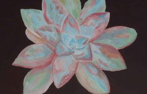 "Luminous Aloe"