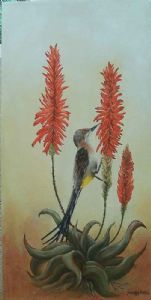 "Gurney's Sugarbird"