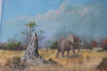 "Elephant Kruger N.P."