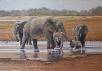 "Leeu Pan Elephants"