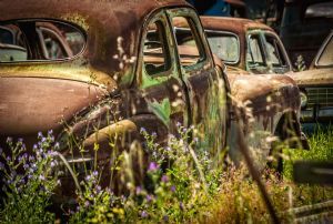 "Old Motgor Car Scrapyard"