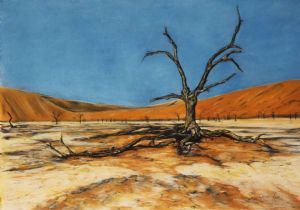"The Amazing Sossusvlei"