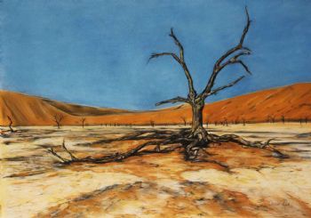 "The Amazing Sossusvlei"