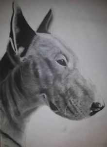 "Bullie"